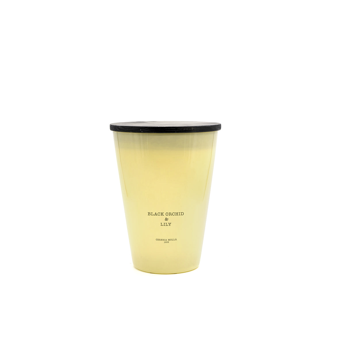 Cereria Molla 1899 Black Orchid and Lily Duftkerze 3.5kg  elfenbein Glas, Box