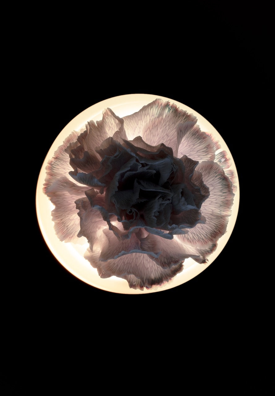 Vase / Lamp Lara by Ann Demeulemeester