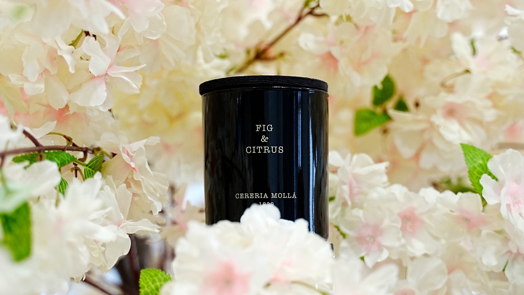 Fig & Citrus scented candle