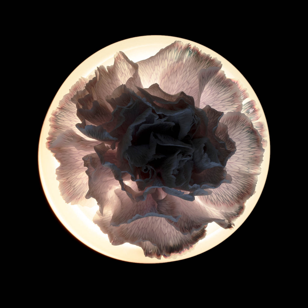 Vase / Lamp Lara by Ann Demeulemeester