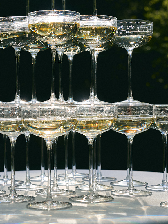 Champagne Coupe Anemone Vaniglia Mf