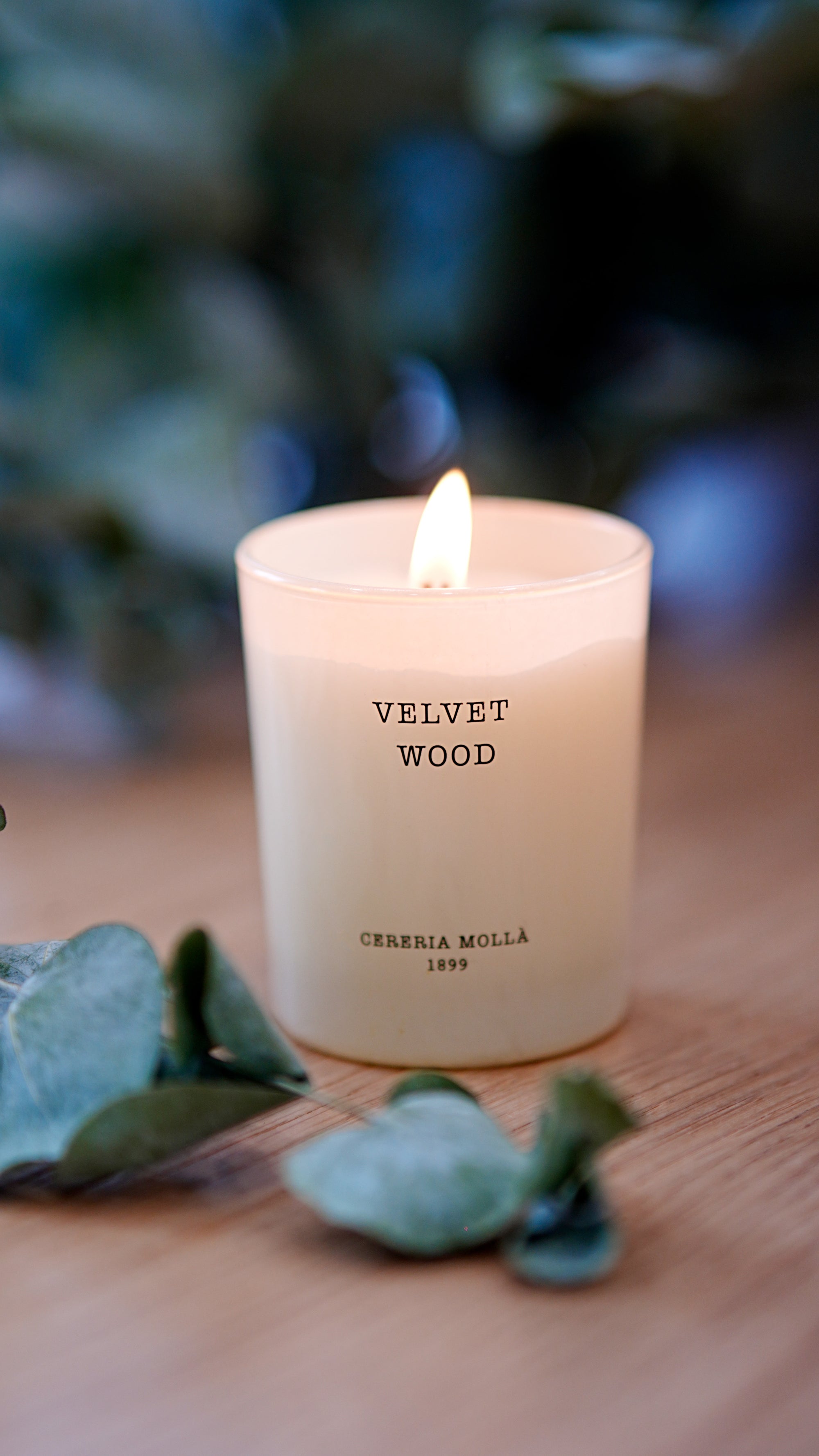 Velvet Wood scented candle